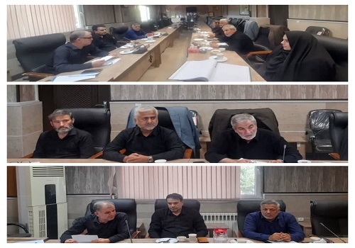 برگزاری دویست و نود و سومین جلسه شورای اسلامی شهر پیشوا با تصویب سه دستور کار